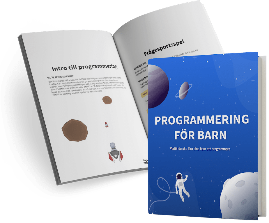 e-bok unga programmerare